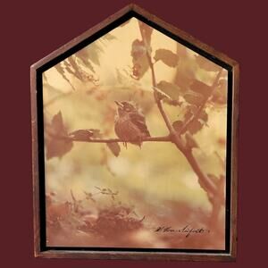 Vintage 1970s Signed Photo of Fledging Robin in House-Shaped Frame